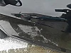 Seat Ibiza 1.2 CR TDi Reference thumbnail