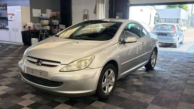 Peugeot 307 cc 1.6 bj2005 benzine manueel eur4 140058km