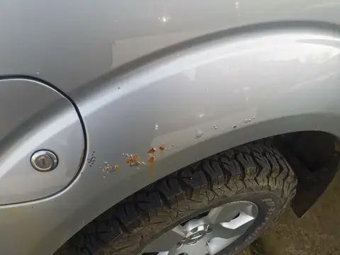 Nissan Navara 2009