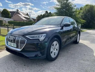 Audi Q8 e-tron E-Tron 95 kWh 55 Quattro Advanced *Navi*Leder*Cam*Lane*Keyless* BTW incl