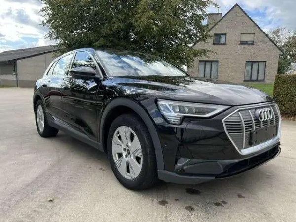 Audi e-tron E-Tron 95 kWh 55 Quattro Advanced *Navi*Cam*Leder*Lane*Keyless* BTW incl