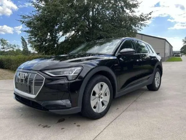 Audi e-tron E-Tron 95 kWh 55 Quattro Advanced *Navi*Cam*Leder*Lane*Keyless* BTW incl